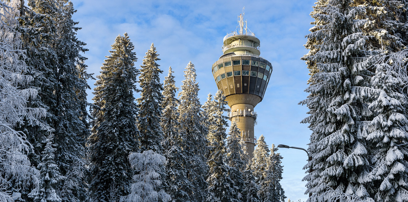 Talvinen Puijon mäki, jossa etualalla on paljon lumisia puita ja takana näkyy Puijon torni. Puijo Hill in winter, with many snow-covered trees in the foreground and the Puijo Tower visible in the background.