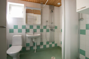 Neulamäentie 3 kaksion kylpyhuone, jossa on vihreä lattia ja vihreät koristelaatat valkoisten lisäksi. Vasemmalla on wc-pönttö ja oikealla suihku sekä yläkaappi. Neulamäentie 3 two-room apartment bathroom with green flooring and green decorative tiles in addition to white ones. On the left is a toilet, and on the right is a shower and wall cabinet.